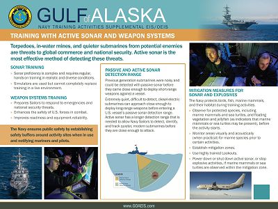 Training with Active Sonar and Weapon Systems Poster